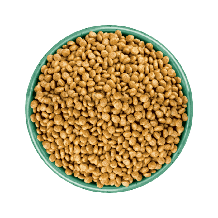 White background with a green bowl pictured filled with cat food kibbles.