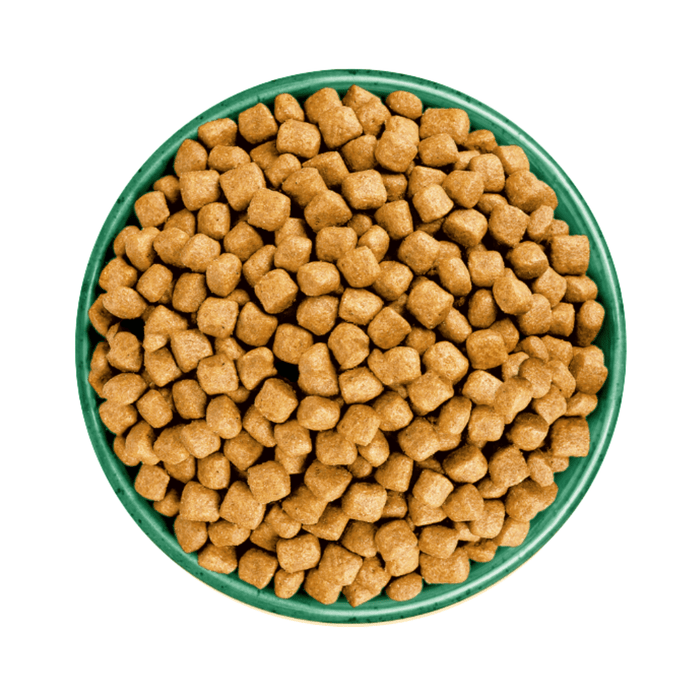 White background with a green bowl pictured filled with cat food kibbles.