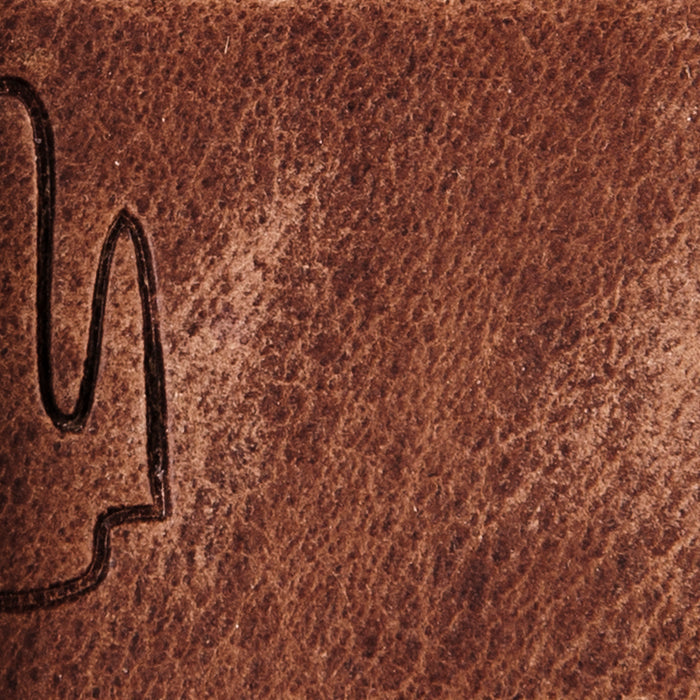 Debossed Eddie Bauer Logo Leather Belt-TAN-3