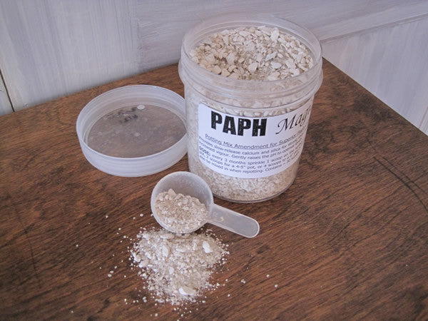 Paph Magic - Ravenvision Orchid Supplies - 1