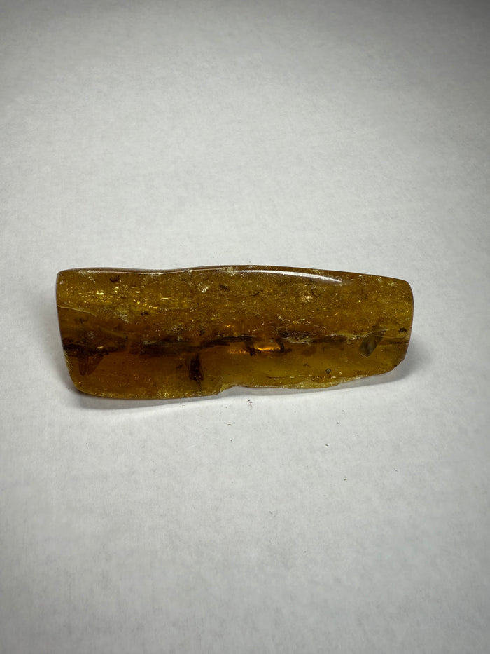 Polished Amber