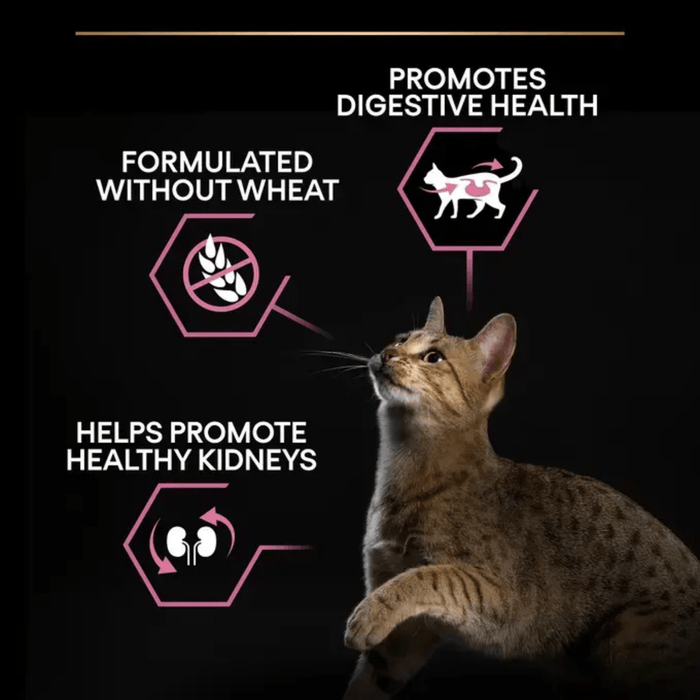 Purina Pro Plan Delicate Digestion Adult Dry Turkey Cat Food info graphic