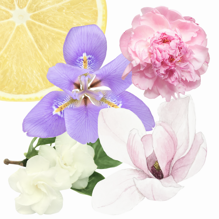 Mercer Street Perfume | Ouai Fragrance - Discontinued Scents
