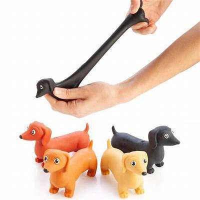 Stretch A Pet Dachshund