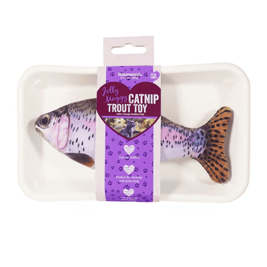 Realistic trout fish cat toy pictured in tray packaging with a purple cardboard wrap around tag, with text on saying 'Jolly Moggy Catnip Trout Toy'. Pictured on a white background.