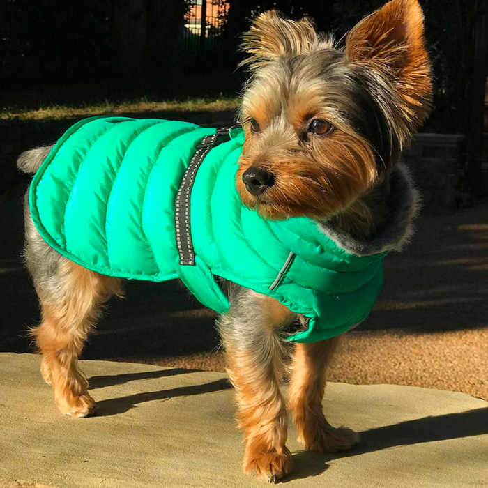 ALPINE-EXTREME-DOG-PUFFY-WINTER-COAT-ARCADIA