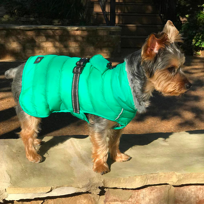 ALPINE-EXTREME-DOG-PUFFY-WINTER-COAT-ARCADIA