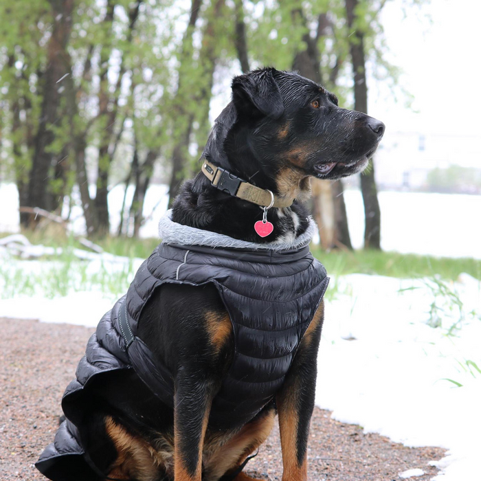 ALPINE-EXTREME-DOG-PUFFY-WINTER-COAT-BLACK