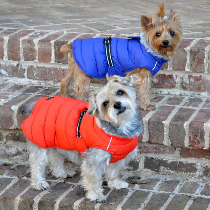 ALPINE-EXTREME-DOG-PUFFY-WINTER-COAT-NAVY-BLUE