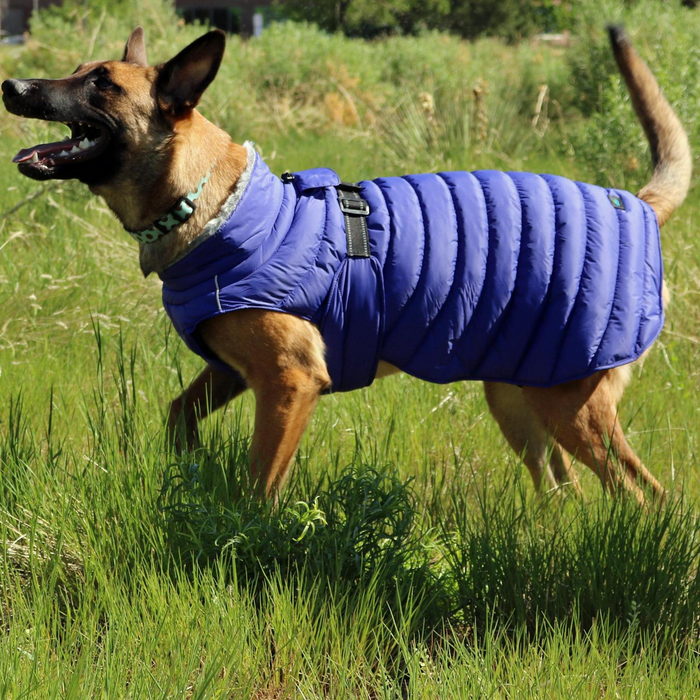 ALPINE-EXTREME-DOG-PUFFY-WINTER-COAT-NAVY-BLUE