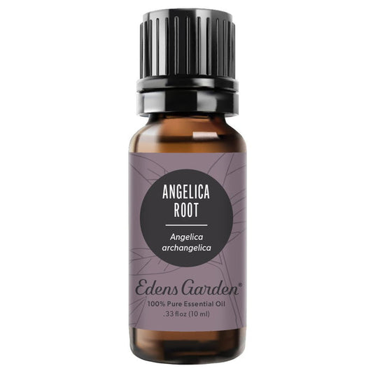 Angelica Root Essential Oil
