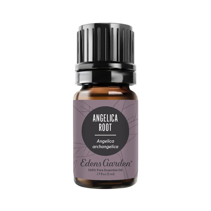 Angelica Root Essential Oil