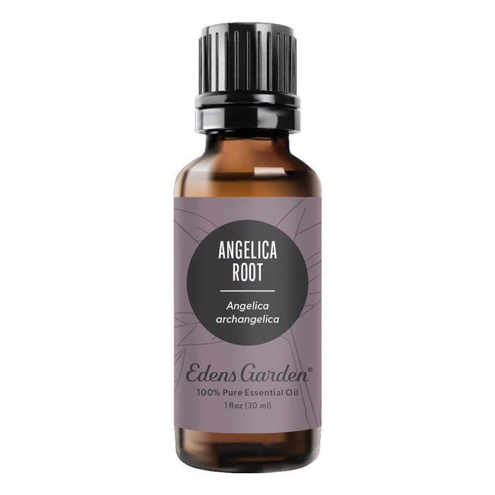 Angelica Root Essential Oil