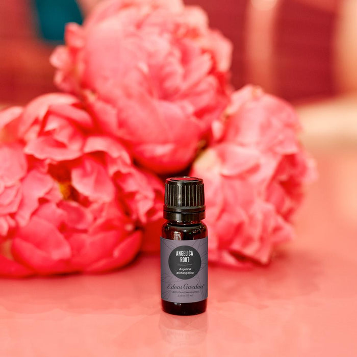 Angelica Root Essential Oil