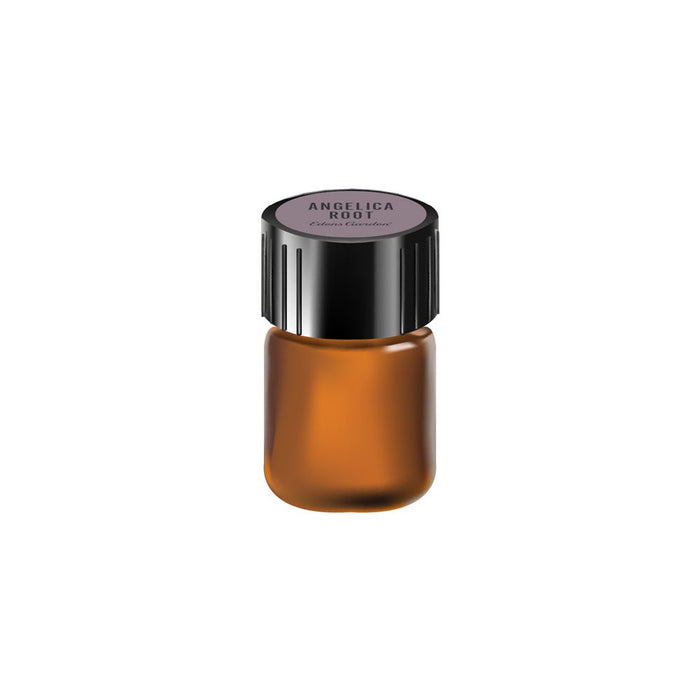Sample size of Angelica Root Essential Oil
