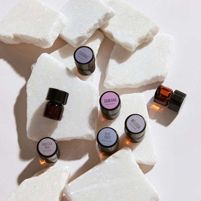 Lifestyle image of sample size of Angelica Root Essential Oil