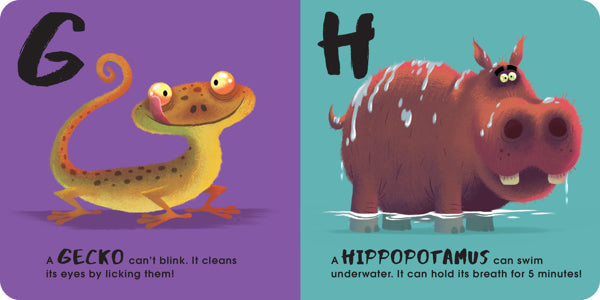 Animal ABC Board Book