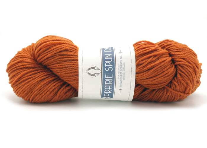 Brown Sheep Co. - Prairie Spun DK / Painted Desert DK165