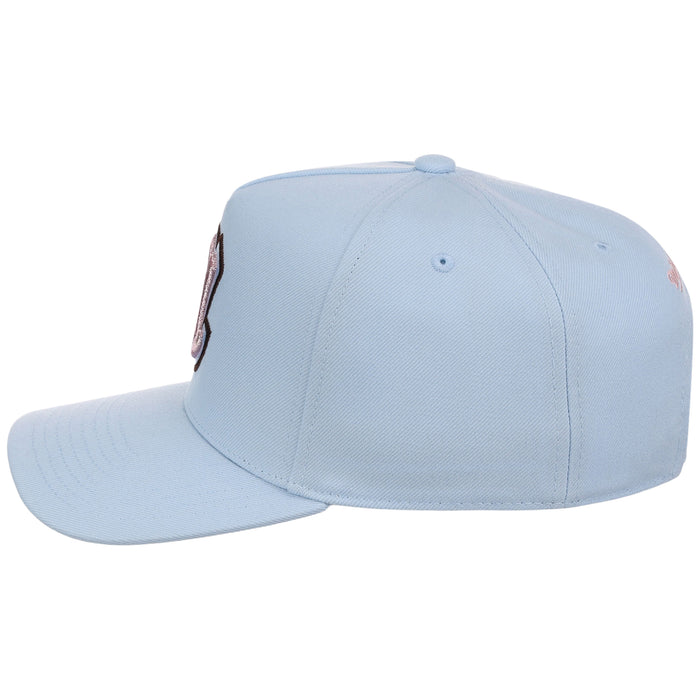 Atlanta Braves MLB Mitchell & Ness Cherry Blossom Pro Pinch