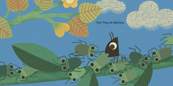 Bird Board Book