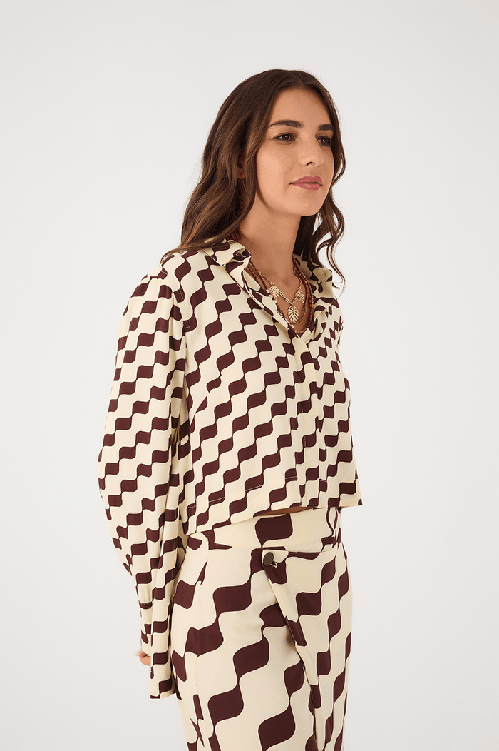 Brown Bossa Nova Collared Buttoned Crepe Shirt_3