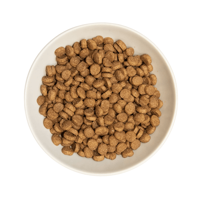 A cream bowl of Burns Adult Cat Dry Food, pictured on a white background.
