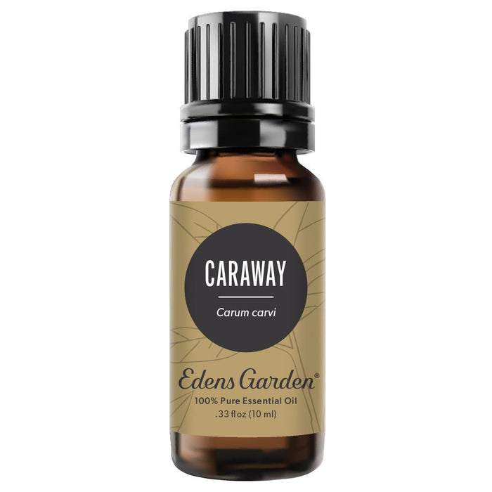 Caraway Essential Oil