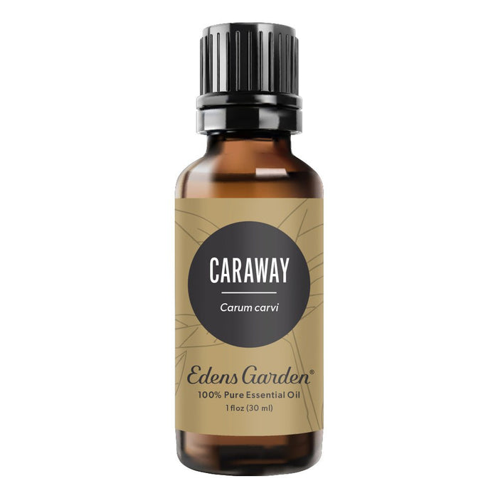 Caraway Essential Oil