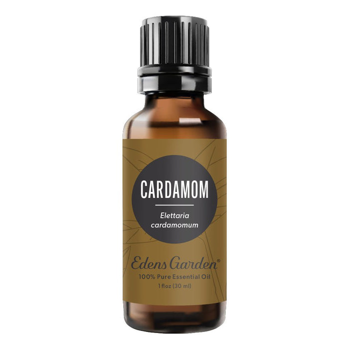 Cardamom Essential Oil