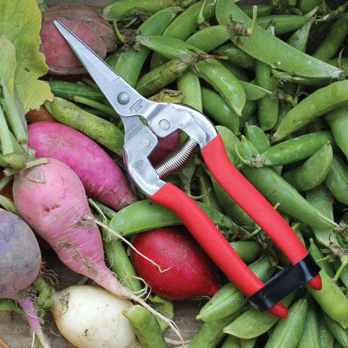 Compact Pruning Shears, Woodland Garden