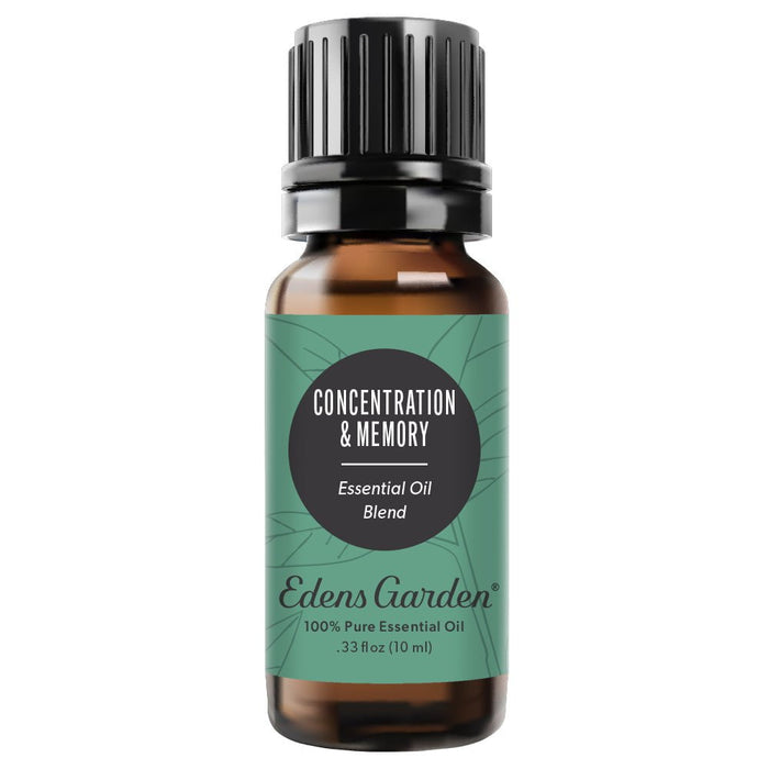 Concentration & Memory Essential Oil Blend- For Focus, Alertness & Cognitive Health
