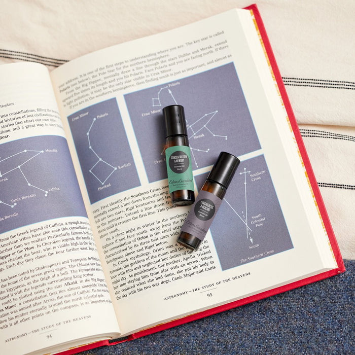 Concentration & Memory Essential Oil Blend- For Focus, Alertness & Cognitive Health