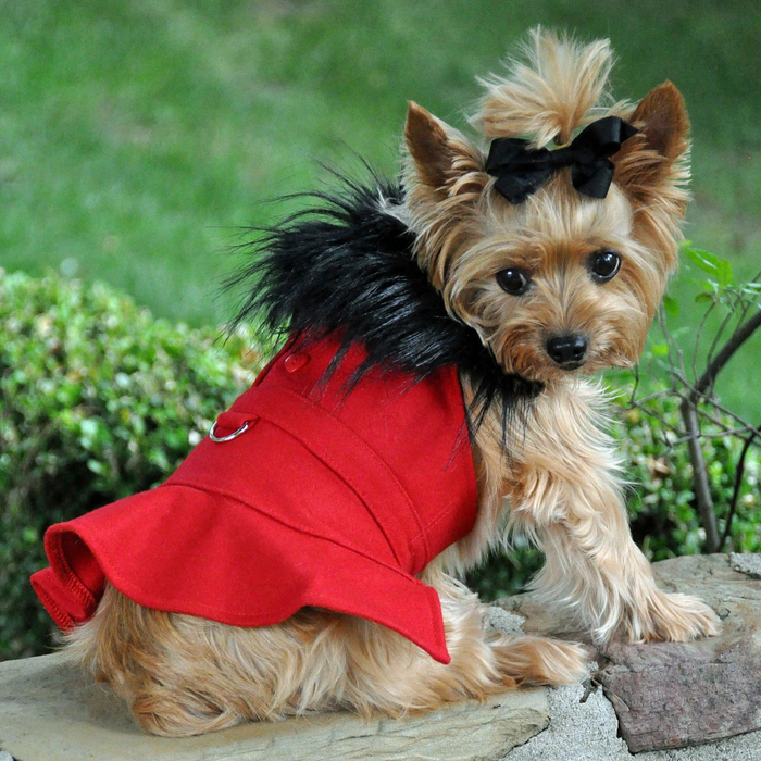 WOOL-FUR-TRIMMED-DOG-COAT-RED
