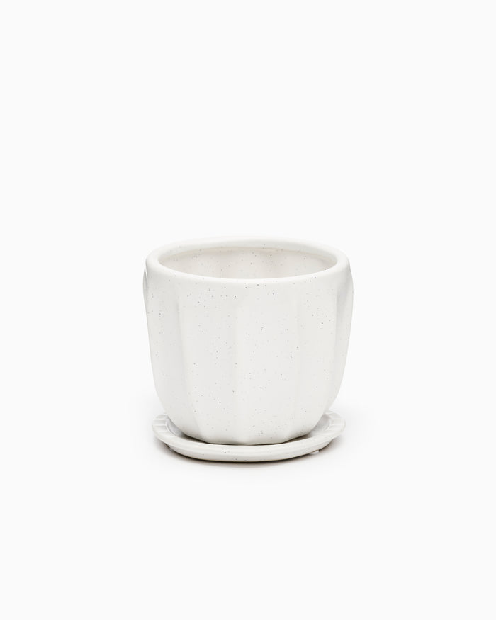 Draken Pot - Small