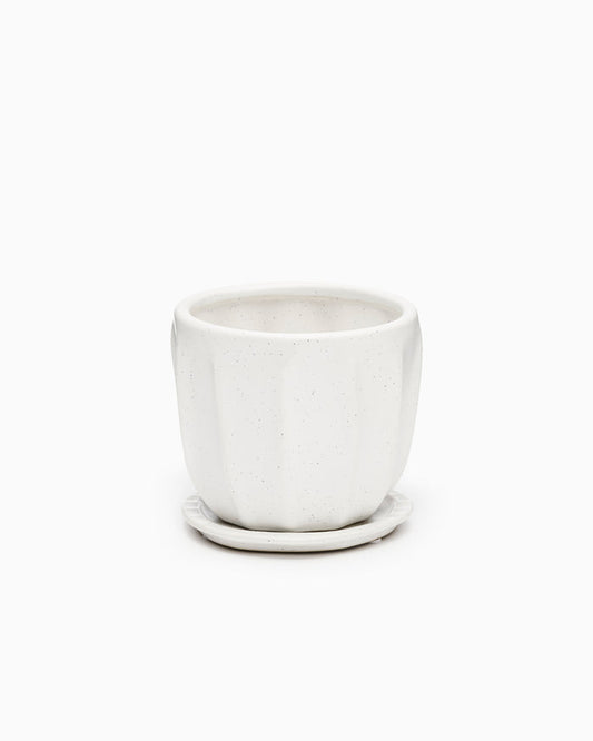 Draken Pot - Small