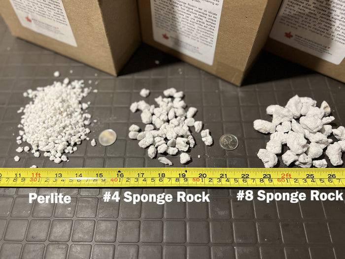 Extra Large Sponge Rock (#8)