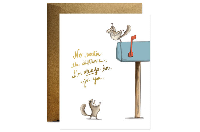 Flying Squirrel Here For You