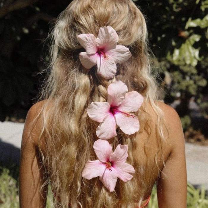 Hawaiian Hibiscus