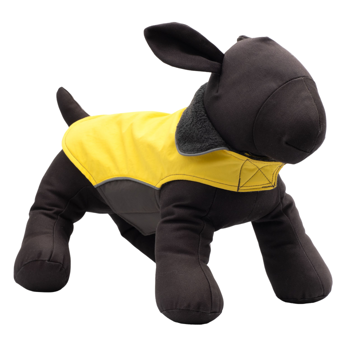 YELLOW-APEX-DOG-JACKET