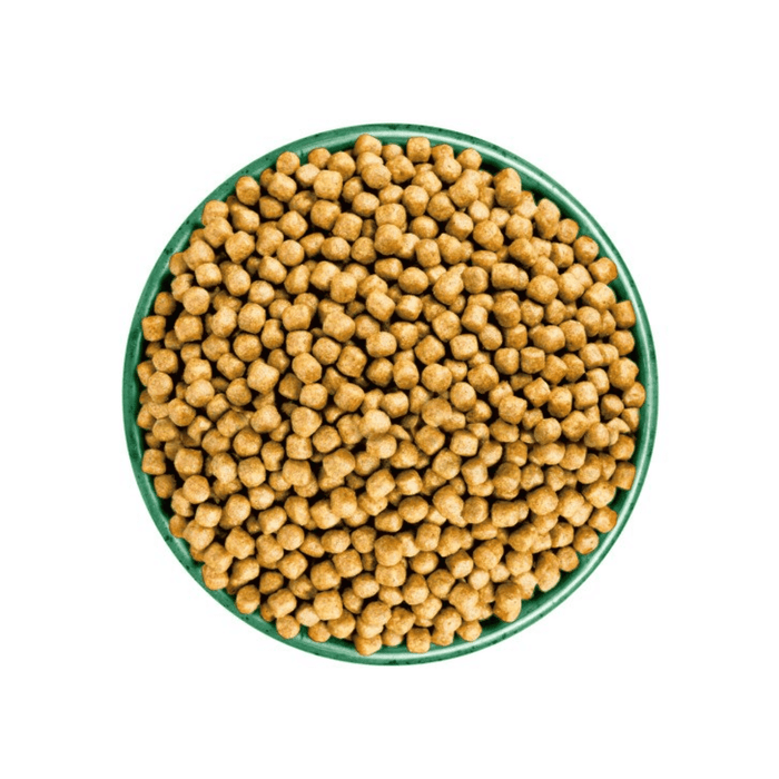 White background with a green bowl pictured filled with cat food kibbles.