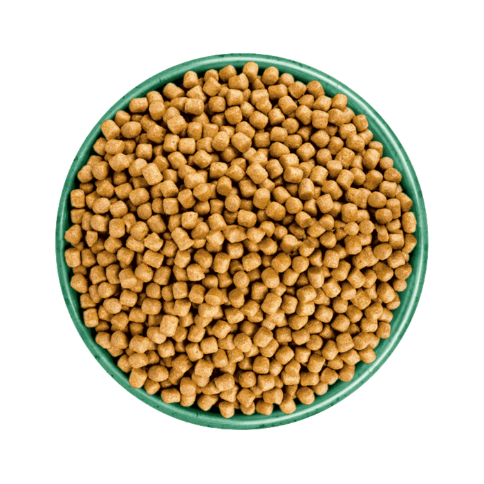 White background with a green bowl pictured filled with cat food kibbles.