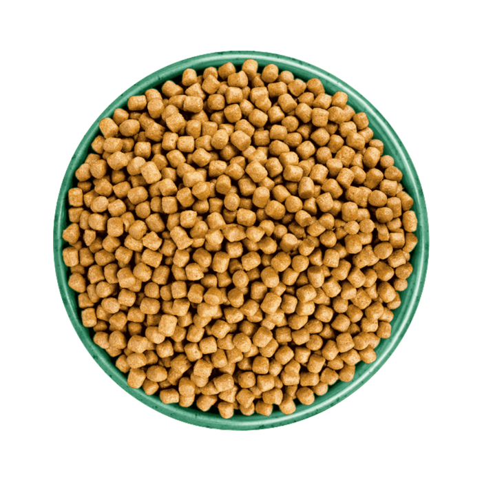 White background with a green bowl pictured filled with cat food kibbles.