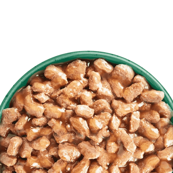 White background with close up of green bowl pictured filled with wet adult cat food.