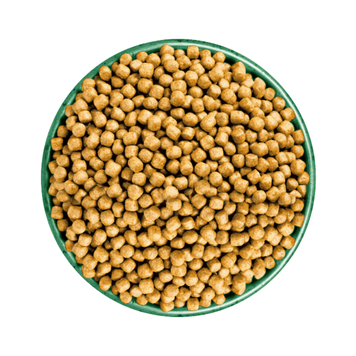 White background with a green bowl pictured filled with cat food kibbles.
