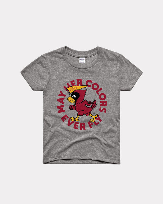 Kids Iowa State Cyclones Colors Ever Fly Vintage Grey T-Shirt
