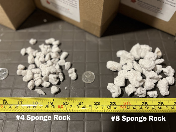 Large Sponge Rock (#4)