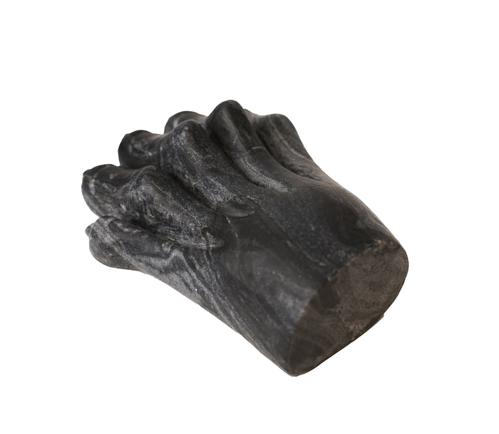 Lion Paw (Wholesale)