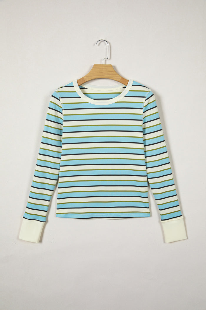 Multicolour Striped Round Neck Ribbed Knit Long Sleeve Top