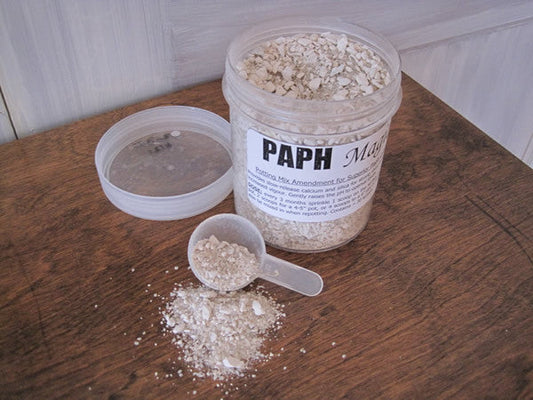Paph Magic - Ravenvision Orchid Supplies - 1