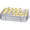 Prodyne Charcuterie And Deviled Eggs On Ice Server
